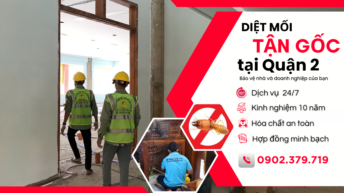 diệt mối tận gốc tại Quận 2