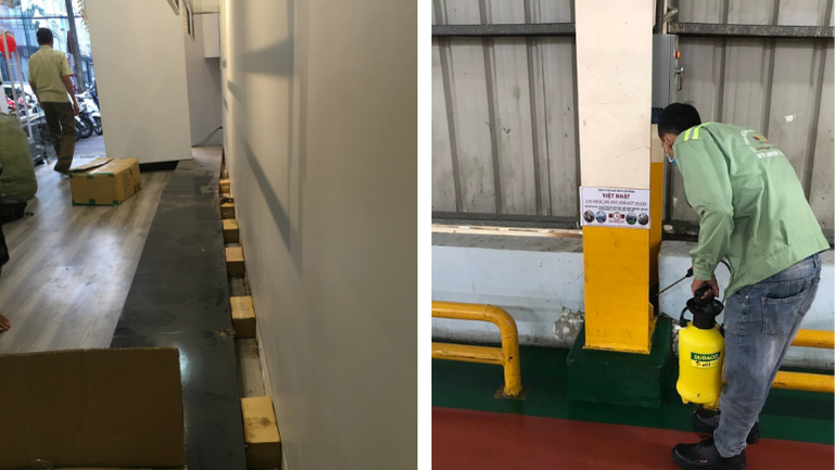 DIỆT MỐI TẬN GỐC TẠI QUẬN 9
