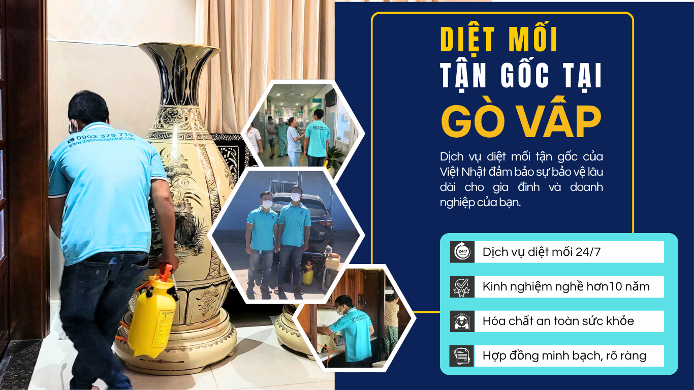 DIỆT MỐI TẬN GỐC TẠI GÒ VẤP