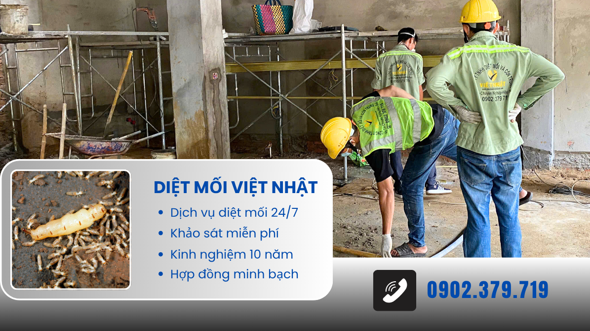 DIỆT MỐI TẬN GỐC TẠI QUẬN 9