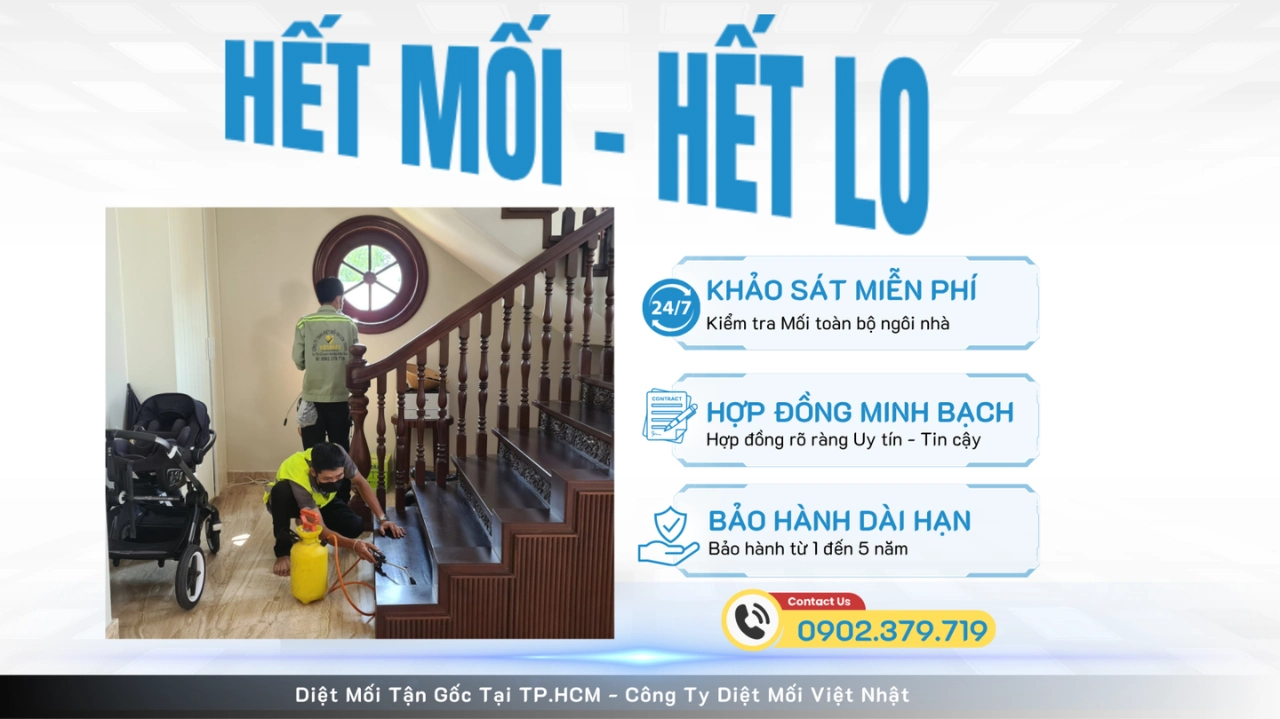 Dịch vụ diệt mối tận gốc