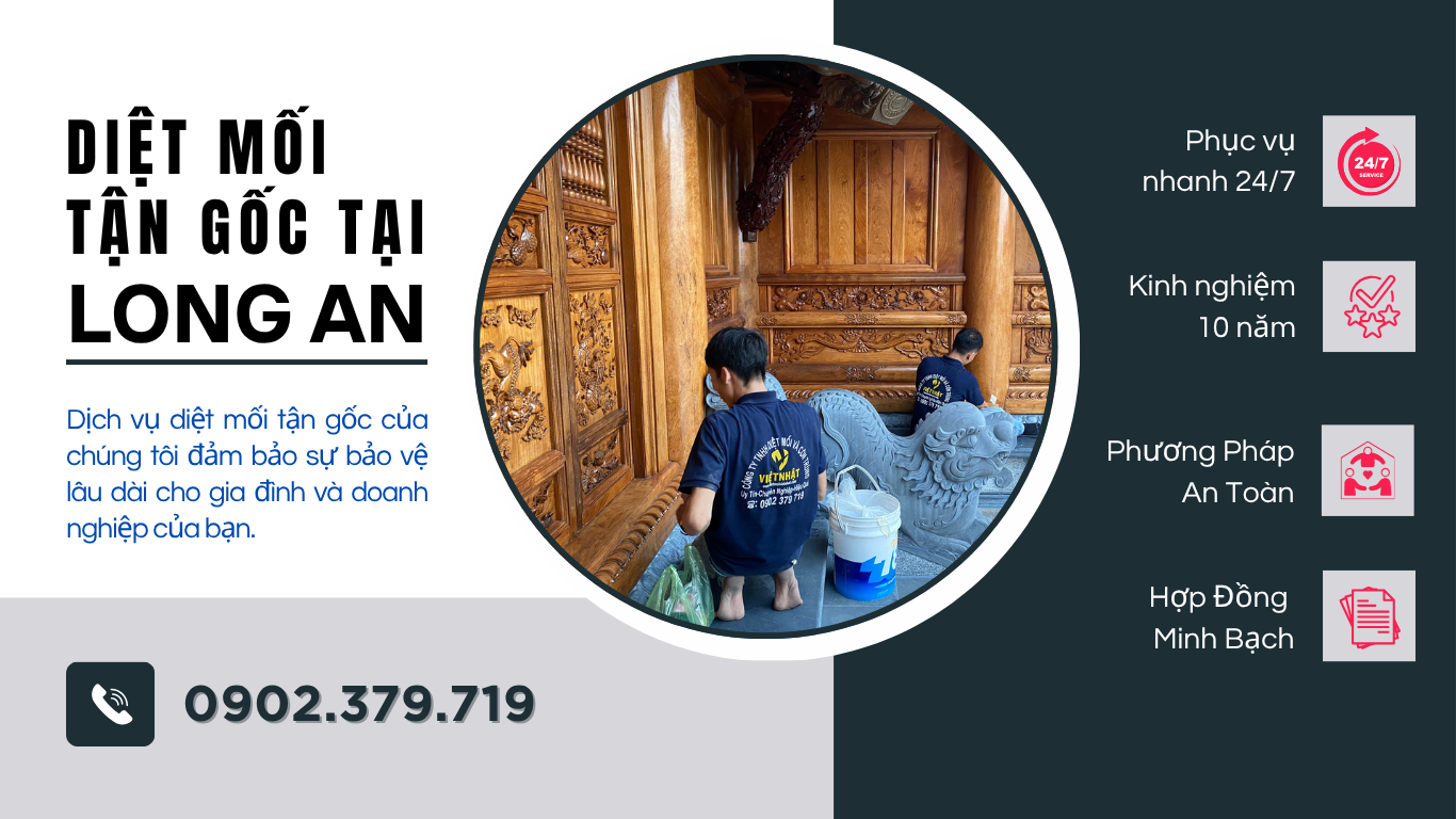 DIỆT MỐI TẬN GỐC TẠI LONG AN