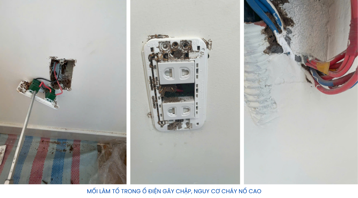 DIỆT MỐI TẬN GỐC TẠI QUẬN 7