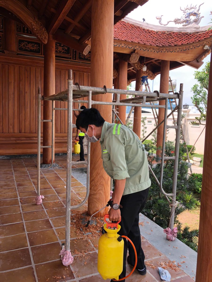 DIỆT MỐI VÀ KHỬ TRÙNG TẬN GỐC CHÙA - TU VIỆN TẠI HỒ CHÍ MINH