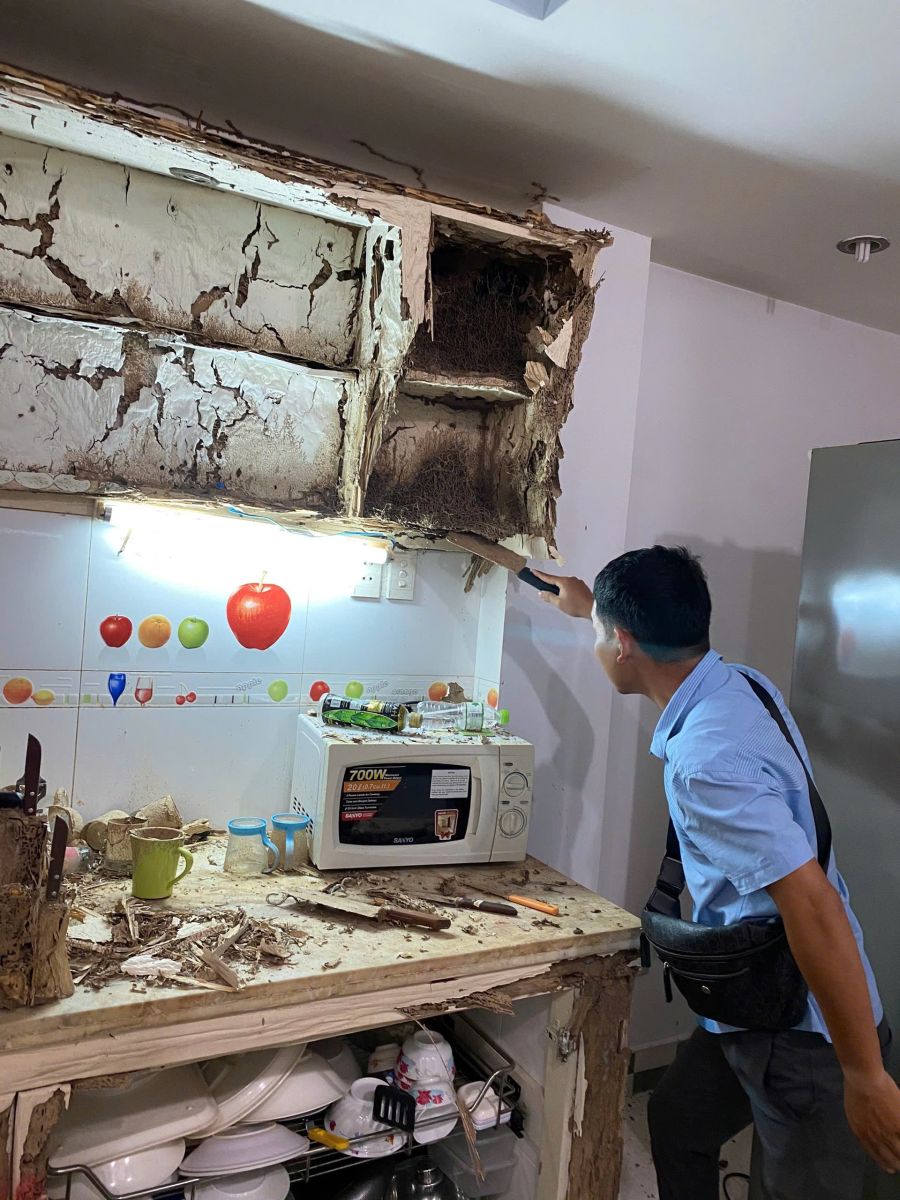 diệt côn trùng tại nhà ở TP HCM