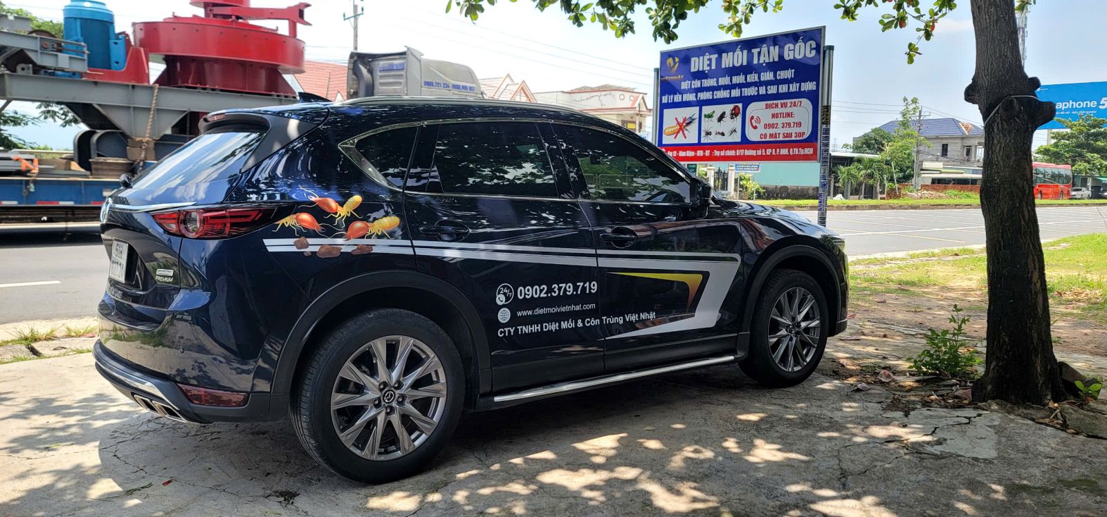 DIỆT MỐI TẬN GỐC TẠI BÌNH THUẬN