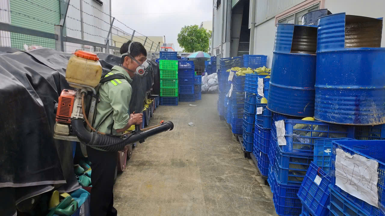 DIỆT MỐI TẬN GỐC CÔNG TY XÍ NGHIỆP Ở BÌNH DƯƠNG