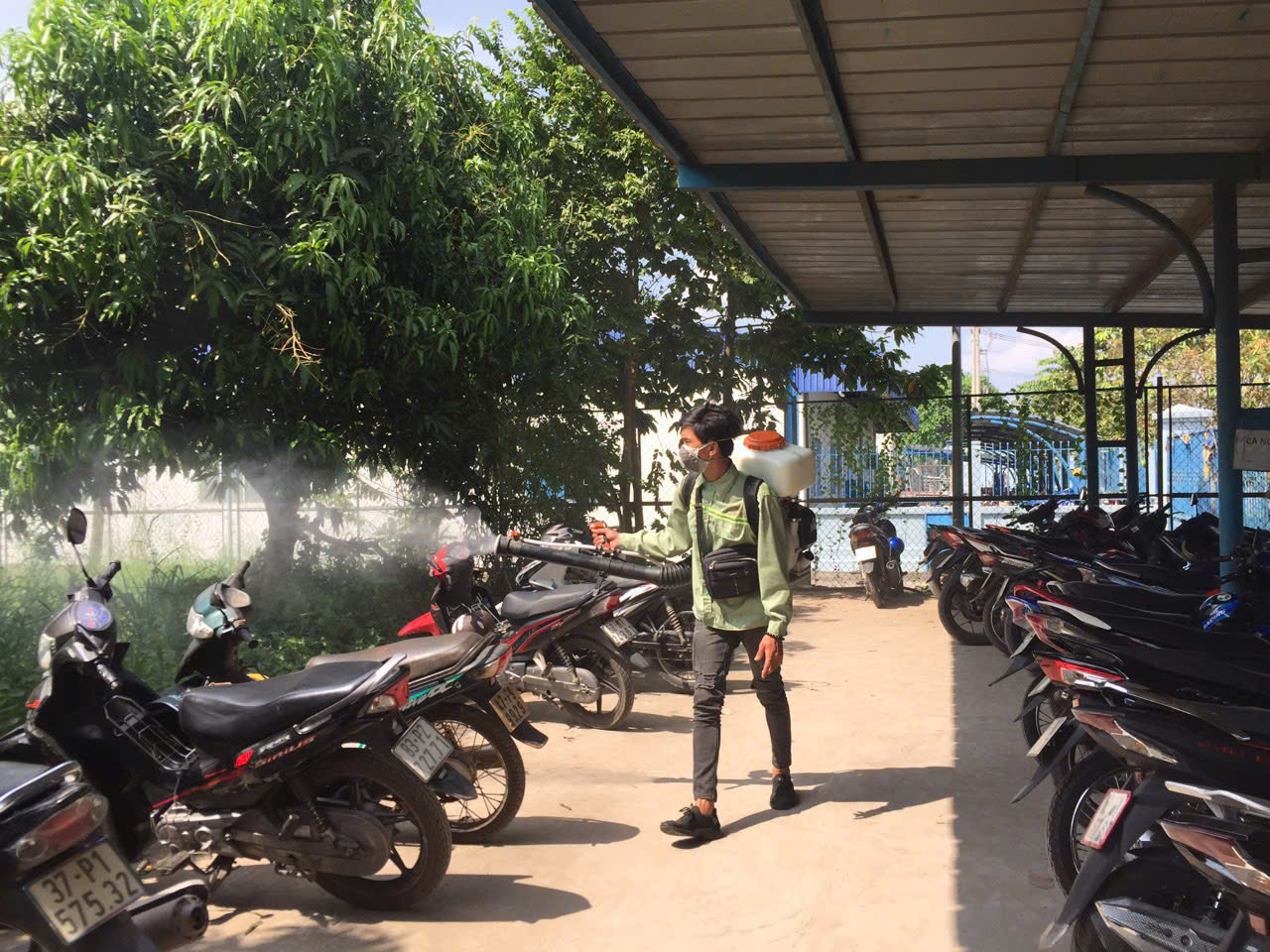 diệt mối tại Bình Tân