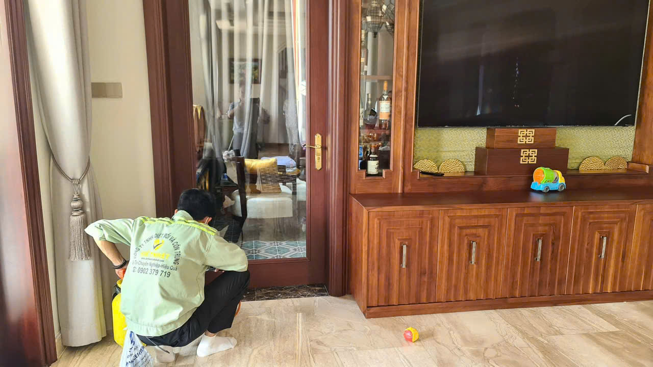 diệt côn trùng tại nhà ở TP HCM