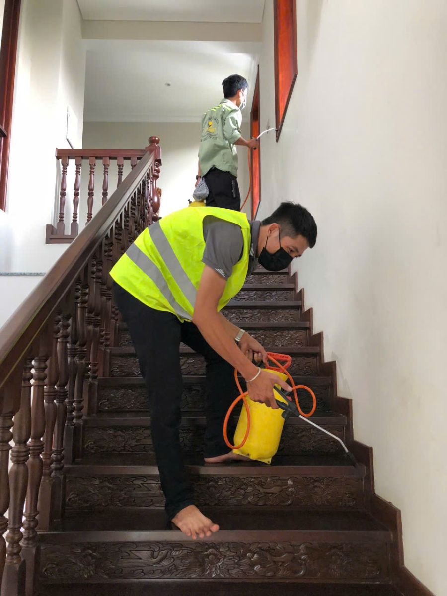 Diệt mối uy tín đà nẵng