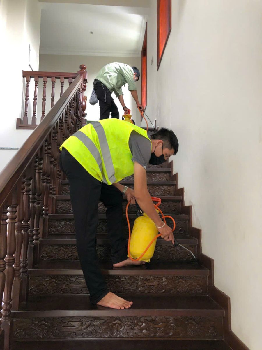 DIỆT MỐI TẠI NHÀ AN TOÀN - TẬN GỐC - SẠCH SẼ 