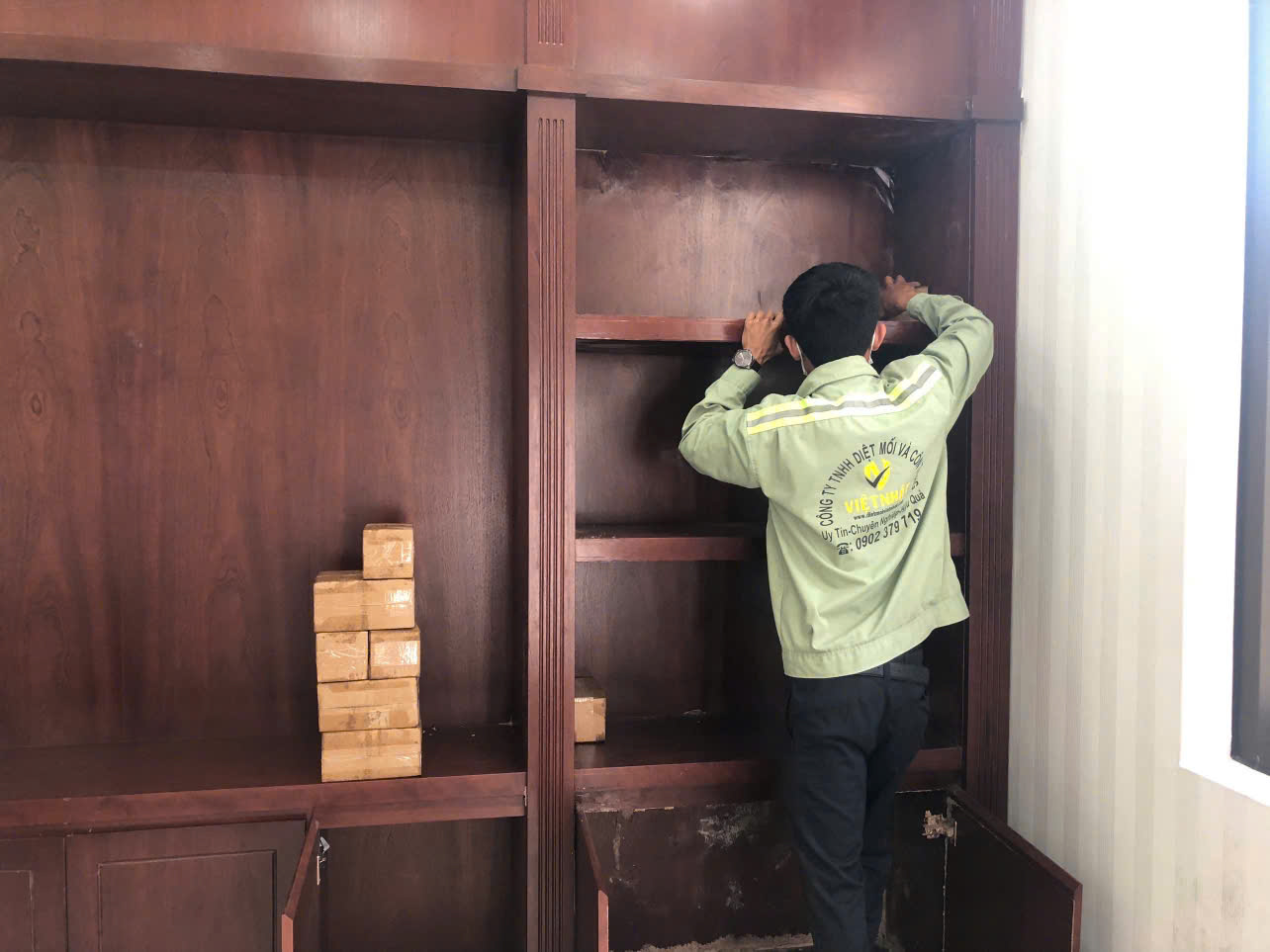 diệt mối ở Cần Thơ