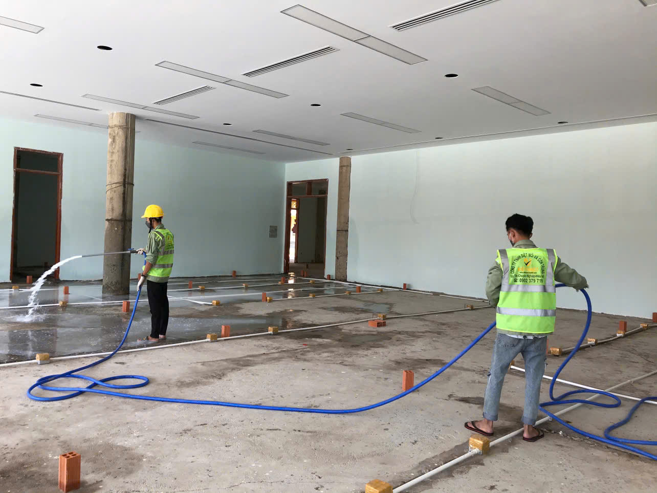 công ty diệt mối giá rẻ ở Bình Chánh