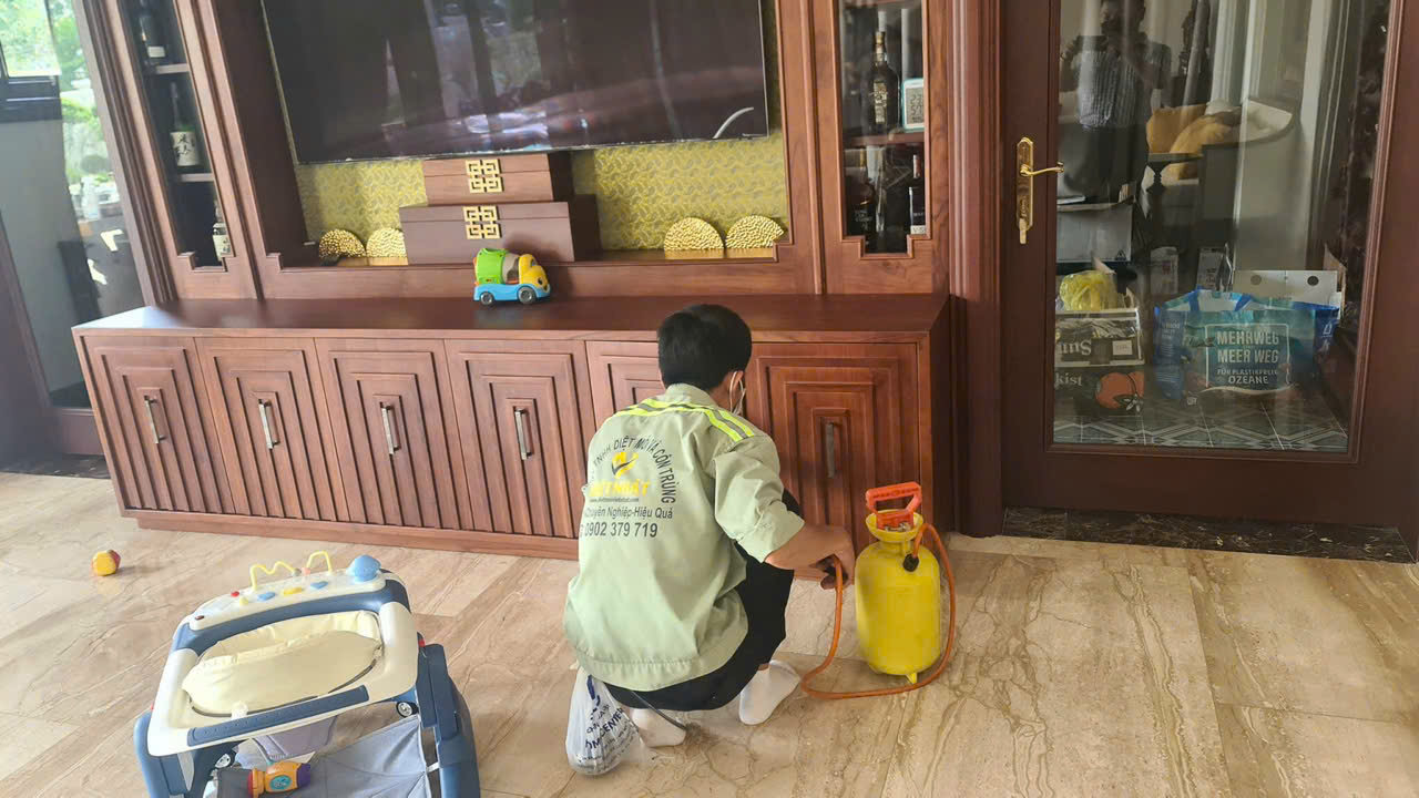 diệt côn trùng tại nhà ở TP HCM