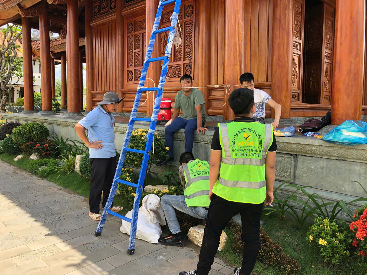 Công Ty diệt mối và côn trùng