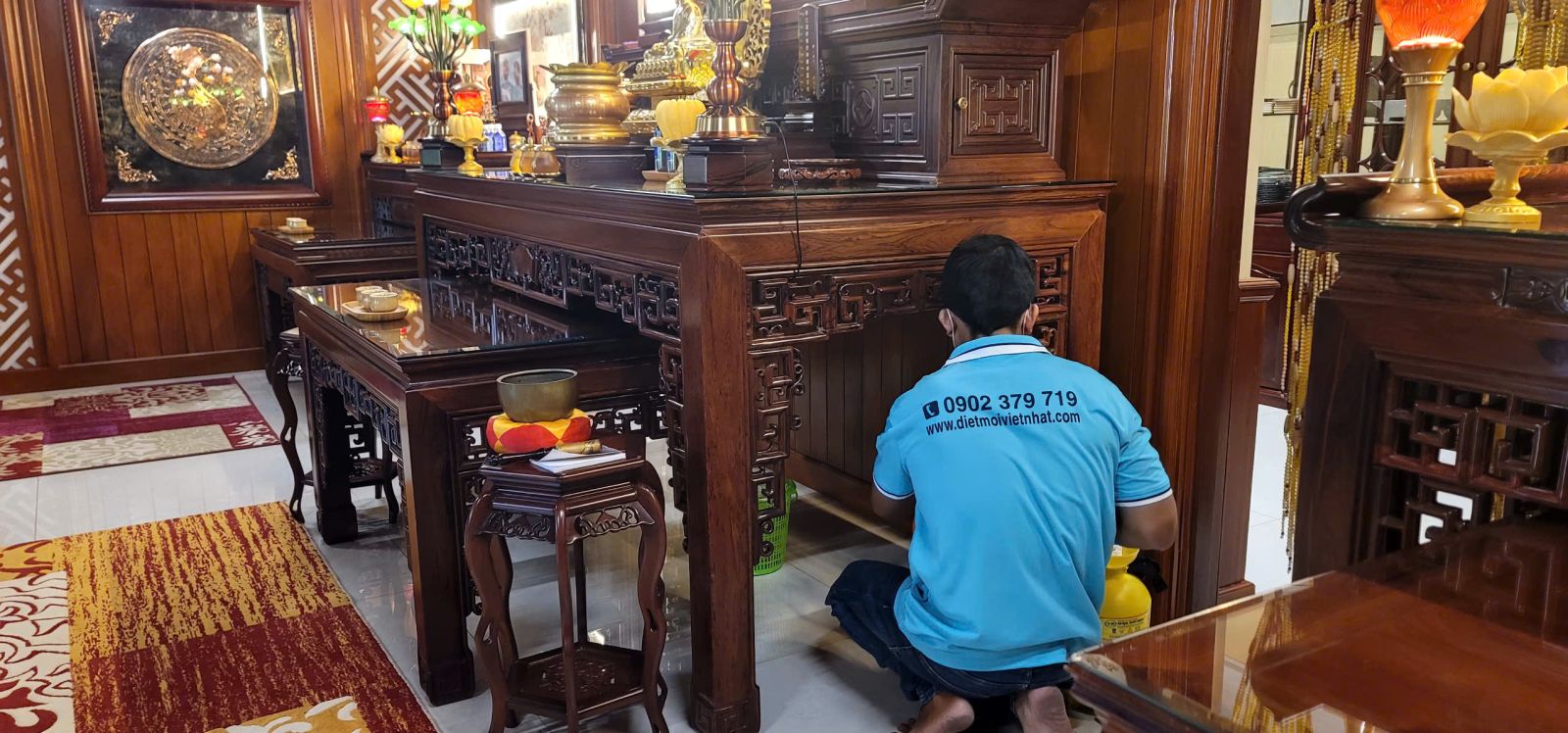 DIỆT MỐI TẬN GỐC TẠI QUẬN 7