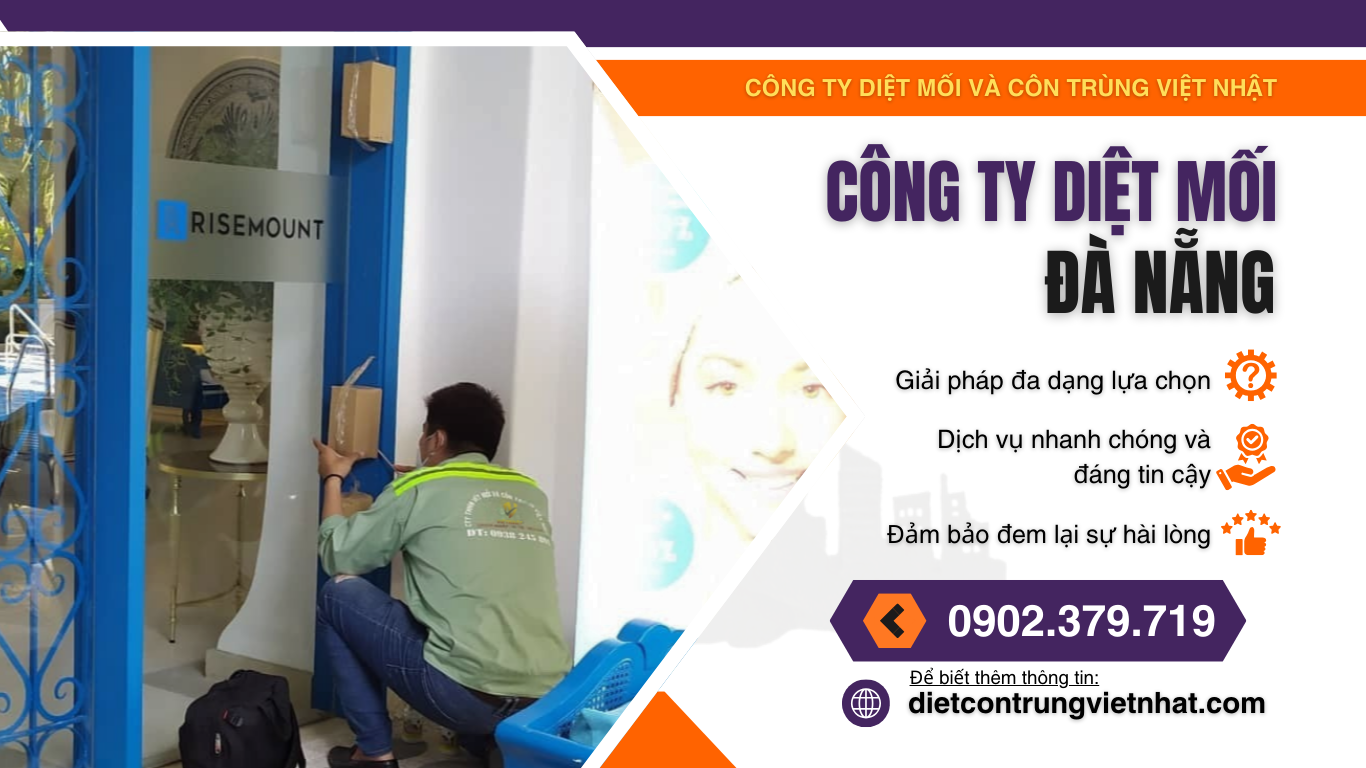 Công ty diệt mối uy tín Đà Nẵng