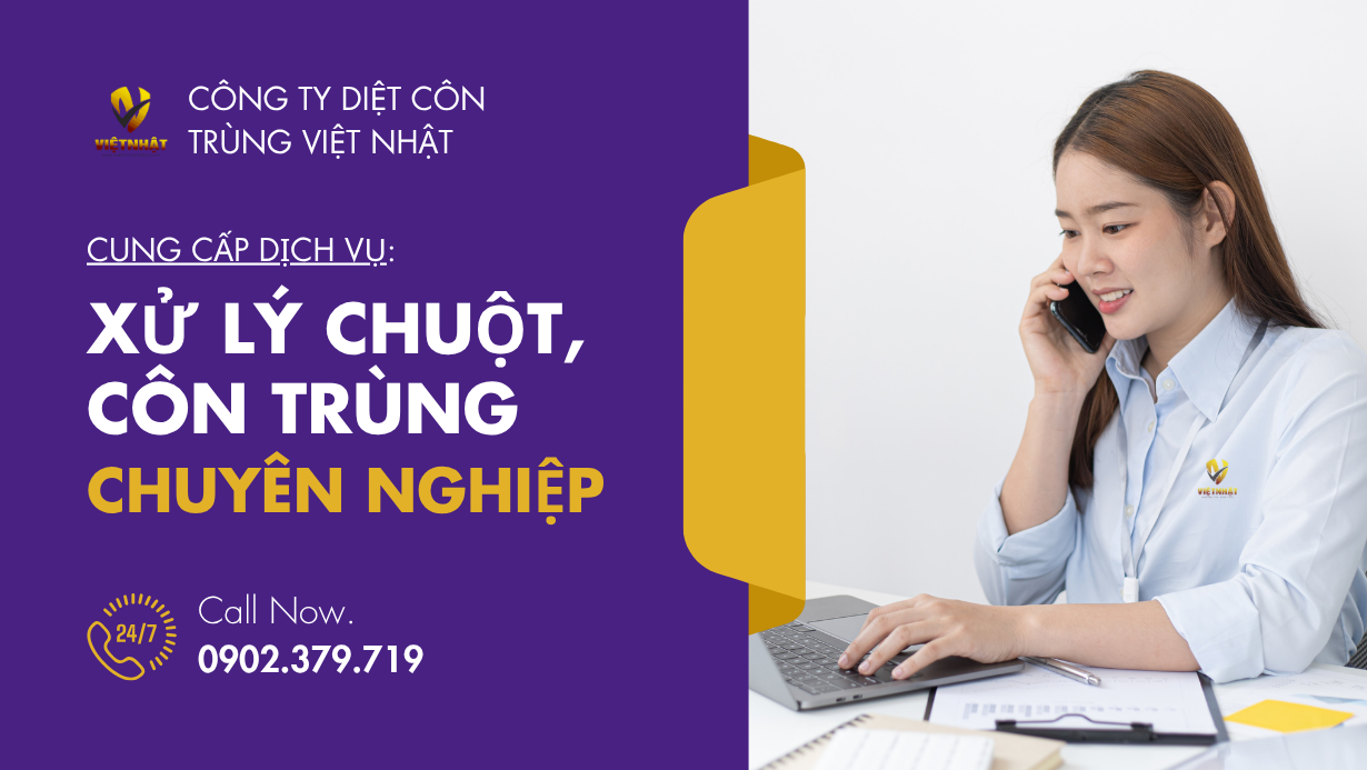 PHUN MUỖI THỦ DẦU MỘT BÌNH DƯƠNG