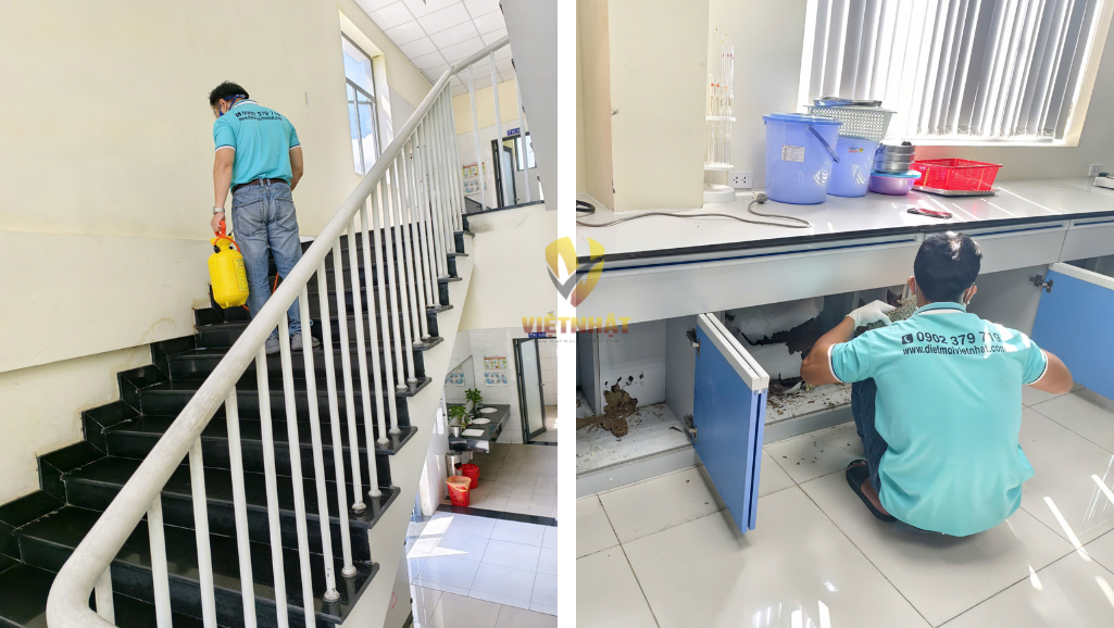 diệt mối tận gốc Vũng Tàu