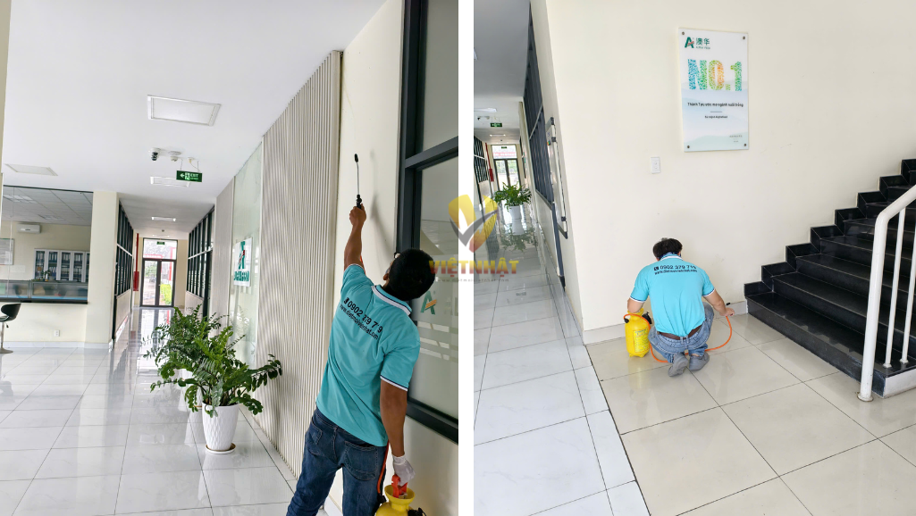diệt mối tận gốc Vũng Tàu