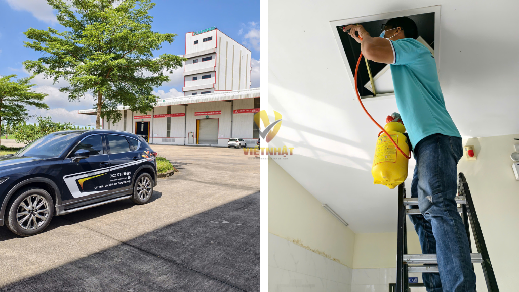 diệt mối tận gốc Vũng Tàu