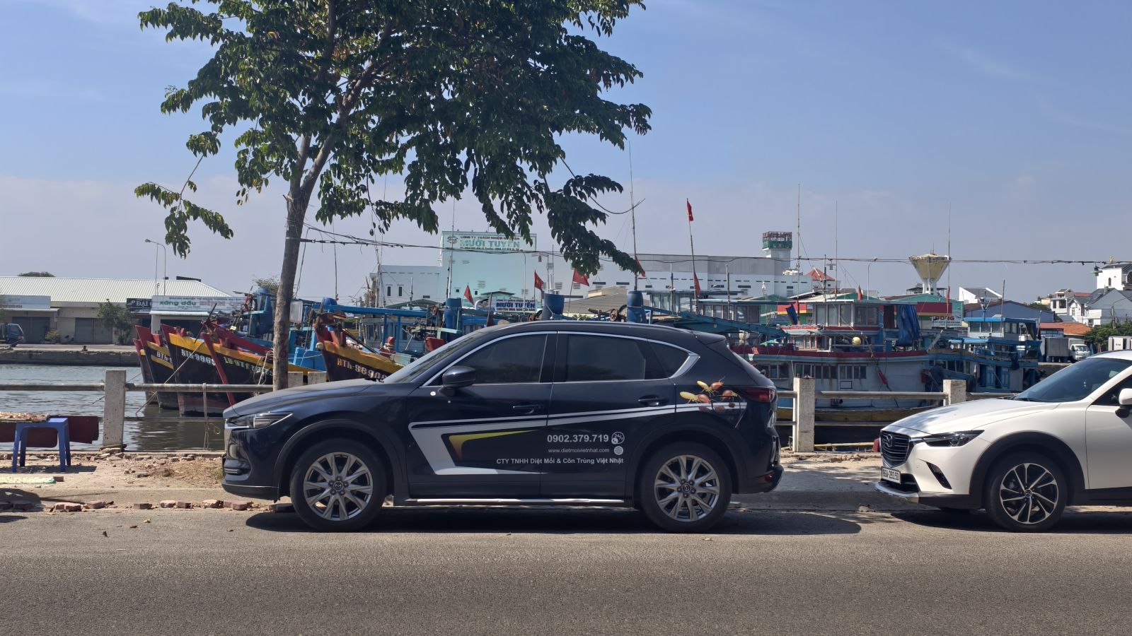 DIỆT MỐI GHE TÀU TẠI BÌNH THUẬN (CŨ)