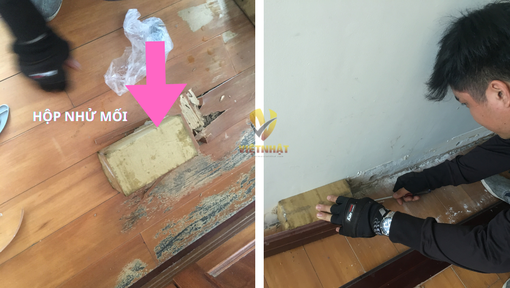 DIỆT MỐI HỘ GIA ĐÌNH QUẬN 11