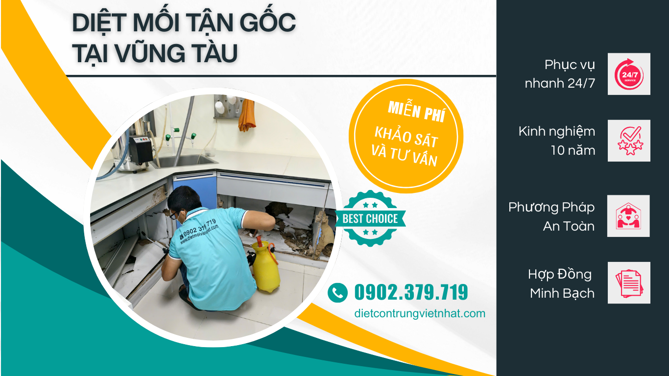 Diệt mối tận gốc Vũng Tàu